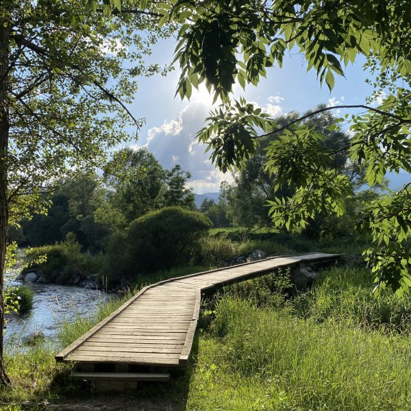 Còpia de_ IMG_2046