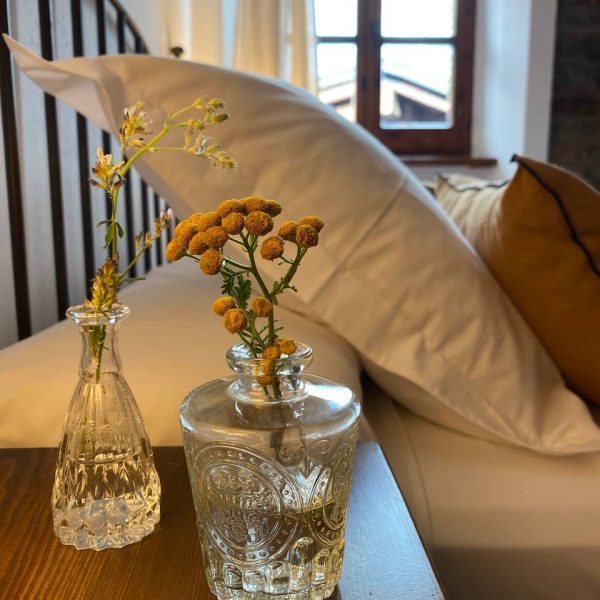 WhatsApp Image 2024-07-31 at 14.30.09